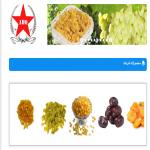 فروش کشمش انگوری و تیزآبی