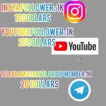 Insta follower