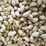 فروش پسته مغز با بهترین کیفیت