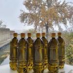 روغن زیتون اصل رودبار گیلان