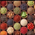 Medicinal Herb Shop