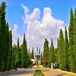ارائه خدمات توریسم درمانی و سیاحتی