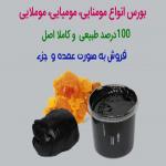مومیایی سنگ هیمالیا