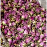 گیاهان دارویی 