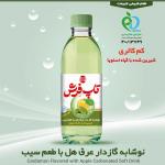 نوشابه گیاهی 