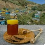 العسل الطبیعی العسل الطبیعی