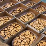 dried fruit