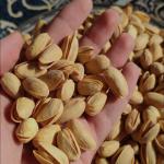 فروش محصولات کشاورزی 