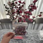 Sheyda’s Persian Aroma