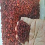 زرشک درجه یک صادراتی