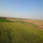 فروش زمین شیراز/بیضا 