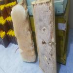 عسل کنار تضمینی و اصل