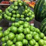 پیش فروش محصول شهریار پیش فروش محصول شهریار