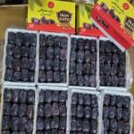 خرما ی مضافتی بم ارسال از بم 