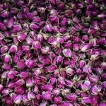 تأمین، فروش و صادرات گیاهان دارویی