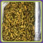 کشمش سبز قلمی