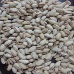 تولید و پخش پسته