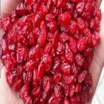 فروش زرشک تازه و باکیفیت – قیمت ویژه!