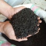 چای بهاره چای بهاره