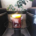 عسل طبیعی و ارگانیک سید عسل طبیعی و ارگانیک سید