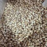 Iranian nuts and dried fruits
