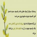 فروش عرقیجات طبیعی از دل کاشان