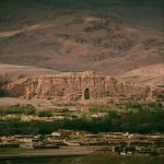 همراهی توریست