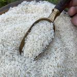 برنج مروارید کشاورزان شمالی 