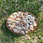 فروش ویژه انواع پسته ایران 