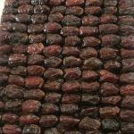 فروش خرما درجه 1