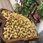 پسته اعلا تازه چین و خوشمزه