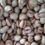 کشمش وپسته خریدازکشاورز