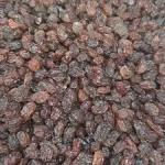 بهترین کشمش اصل تاکستان افتابی