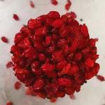 زرشک أعلا قائنات