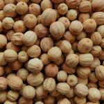 لیمو عمانی درجه یک لیمو عمانی درجه یک