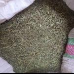   آویشن کوهی 