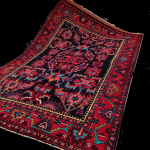 Nora_ carpet 