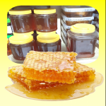 عسل طبیعی و درمانی کوهستان قره داغ عسل طبیعی و درمانی کوهستان قره داغ