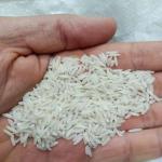 برنج مرغوب گیلان برنج مرغوب گیلان
