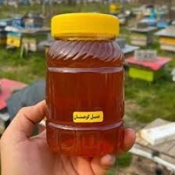 عسل طبیعی گون