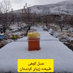 تامین کننده (خرما،عسل،زعفران) تامین کننده (خرما،عسل،زعفران)