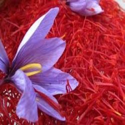 زعفران زعفران