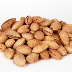 خشکبار