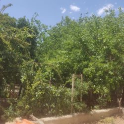 ۷۵۰متر،ویلایی،کرج