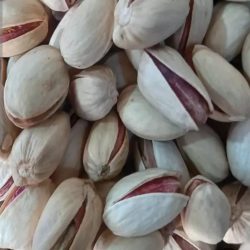 فروشنده انواع پسته درجه یک