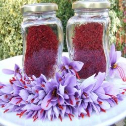 زعفران و بذور