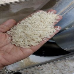 برنج ایرانی