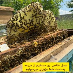 عسل ارگانیگ