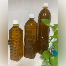 زیتون روغن ارگانیک