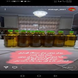 روغن زیتون اصل 